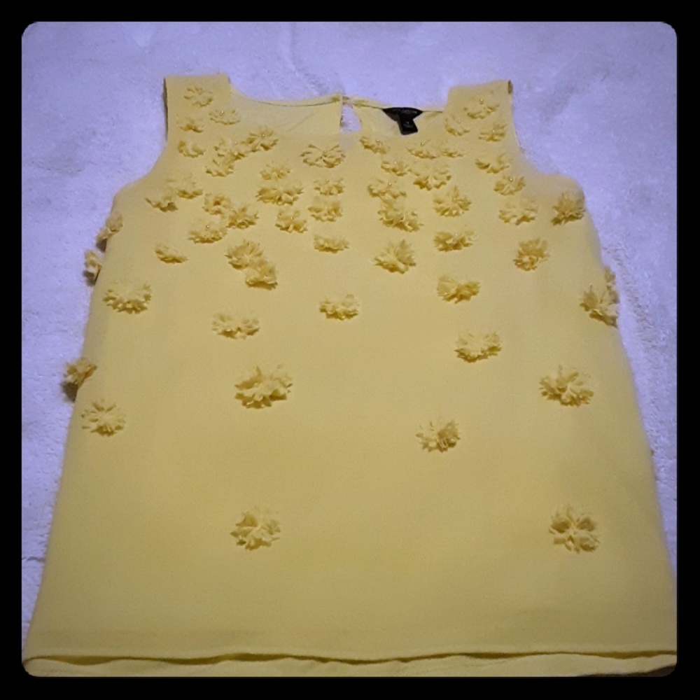 Ann Taylor top size M